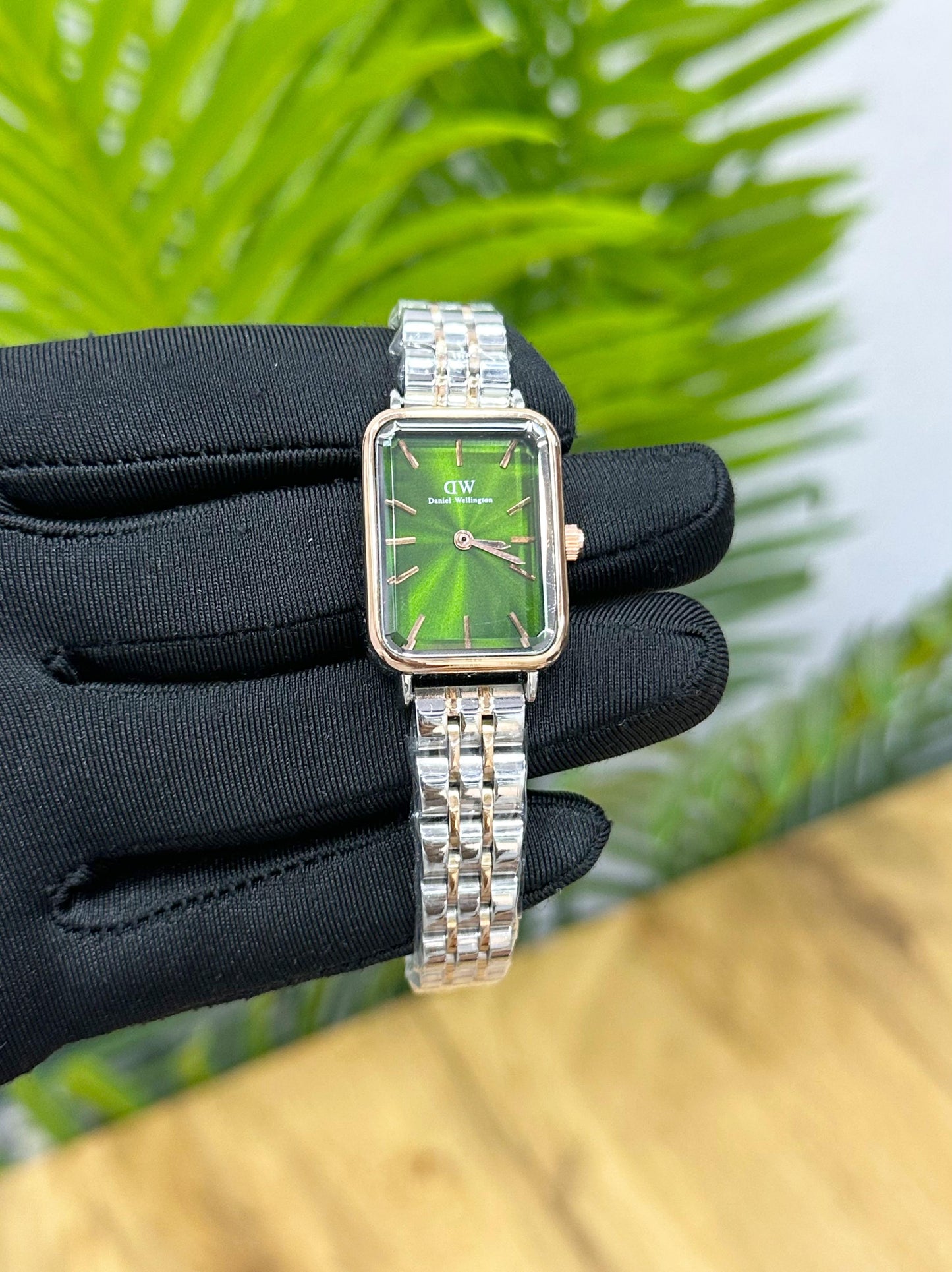 DANIEL WELLINGTON (With Og Box)