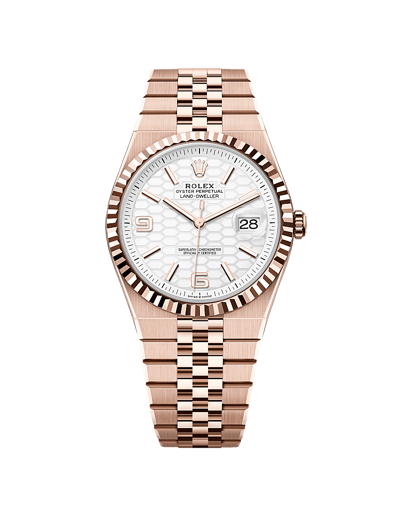 Rolex Oyster Perpetual Land Dweller(With Og Box)